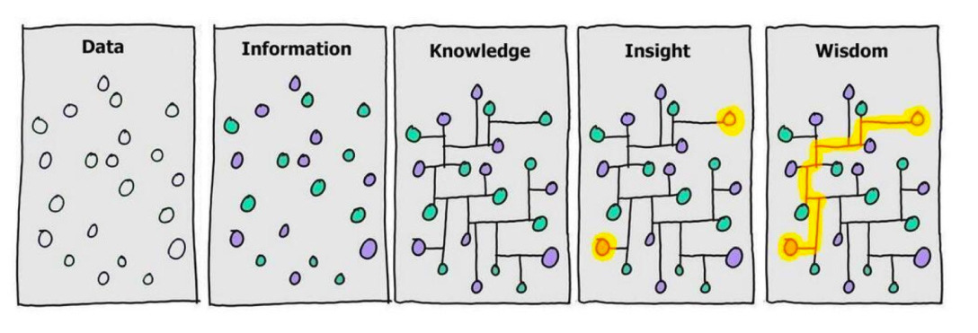 cartoon of data-information-knowledge-insight-wisdom